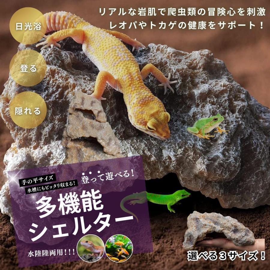 爬虫類 レオパ シェルター トカゲ カナヘビ （選べる S M L） ロック