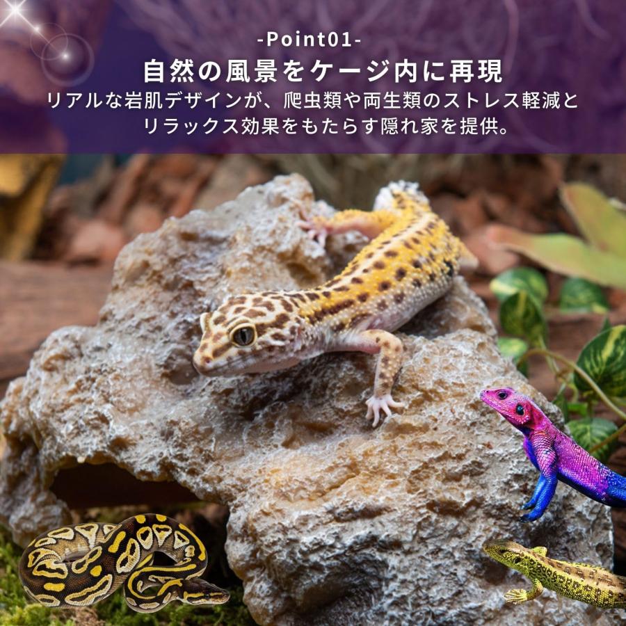 爬虫類 レオパ シェルター トカゲ カナヘビ （選べる S M L） ロック