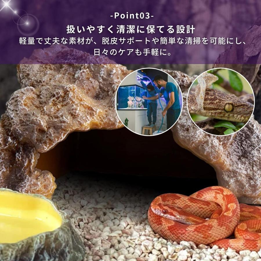 爬虫類 レオパ シェルター トカゲ カナヘビ （選べる S M L） ロック