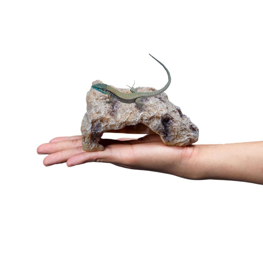 爬虫類 レオパ シェルター トカゲ カナヘビ （選べる S M L） ロック