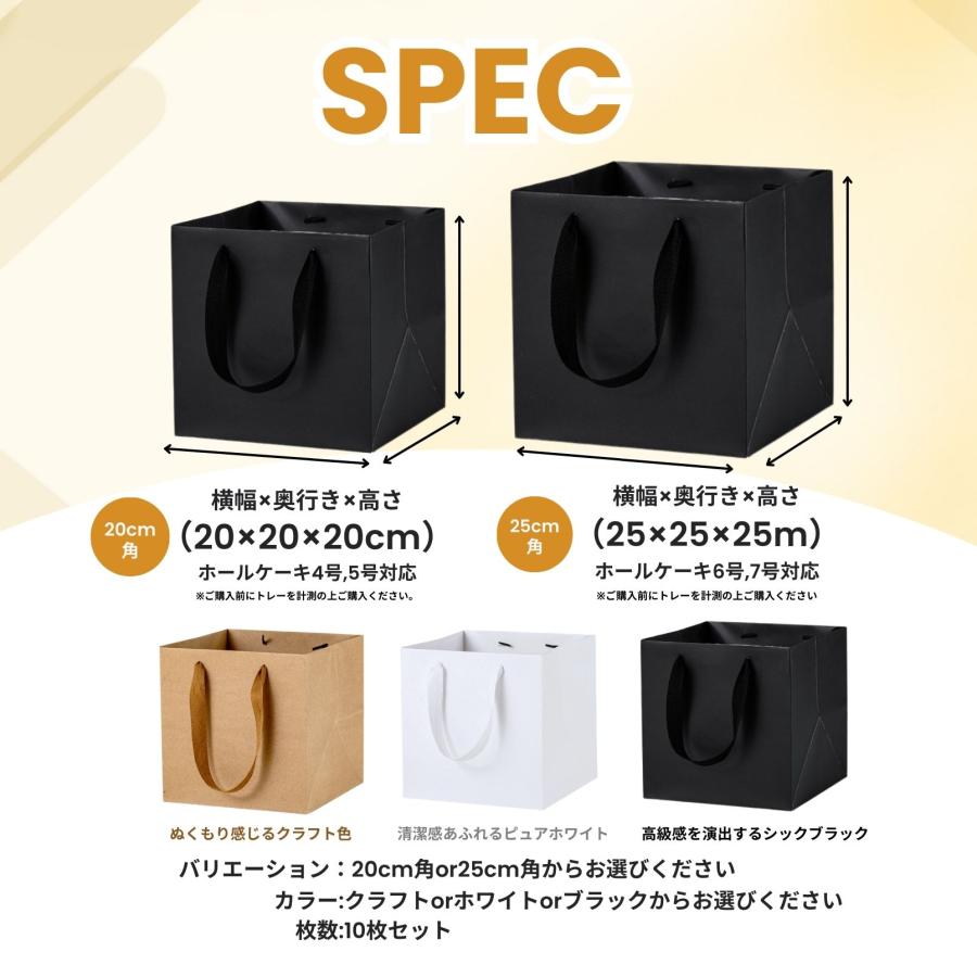 紙袋 手提げ ギフト用 マチ広 ギフトバッグ 大 白 正方形 25cm角 10枚