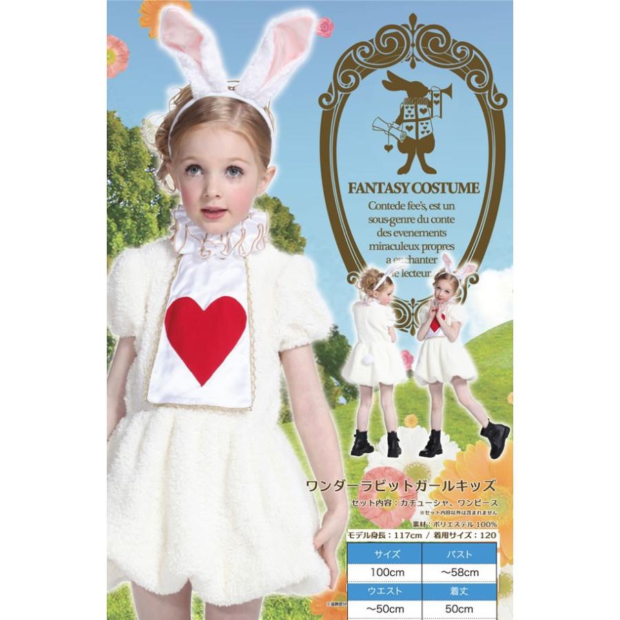 ディズニー画像ランド 驚くばかりディズニーランド 子供 コスプレ ハロウィン以外