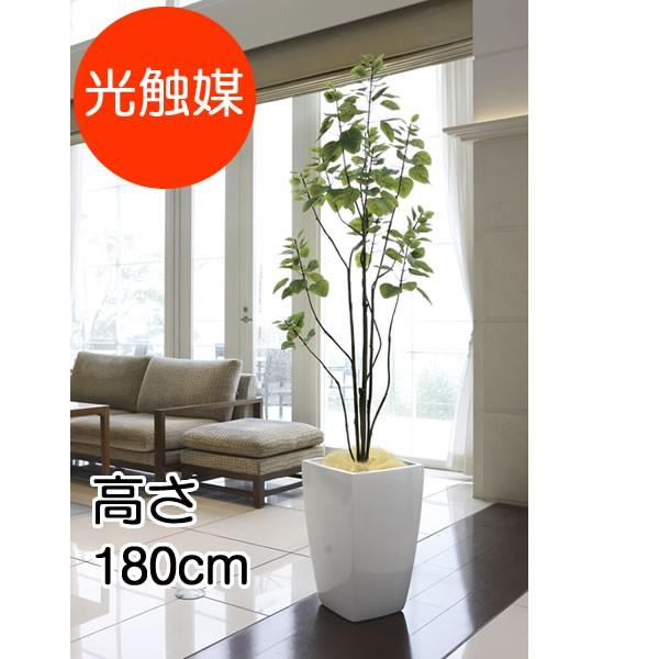 観葉植物 おしゃれ 大型 アーバンブランチツリー 1.8m インテリア フェイク 造花 鉢 おしゃれ オフィス ロビー 代金引換不可