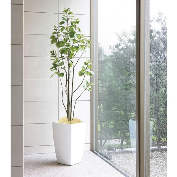 高評価続出！ 観葉植物 おしゃれ 大型 アーバンブランチツリー 1.8m インテリア フェイク 造花 鉢 おしゃれ オフィス ロビー 代金引換不可 【DGJ8590695518】(30855円)
