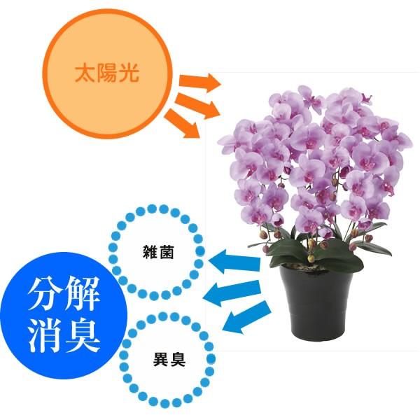 高評価続出！ 観葉植物 おしゃれ 大型 アーバンブランチツリー 1.8m インテリア フェイク 造花 鉢 おしゃれ オフィス ロビー 代金引換不可 【DGJ8590695518】(30855円)