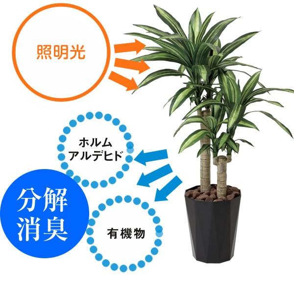 高評価続出！ 観葉植物 おしゃれ 大型 アーバンブランチツリー 1.8m インテリア フェイク 造花 鉢 おしゃれ オフィス ロビー 代金引換不可 【DGJ8590695518】(30855円)