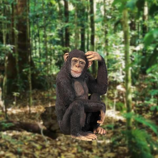 チンパンジー 置物 猿 オブジェ ディスプレー オーナメント 代金引換 