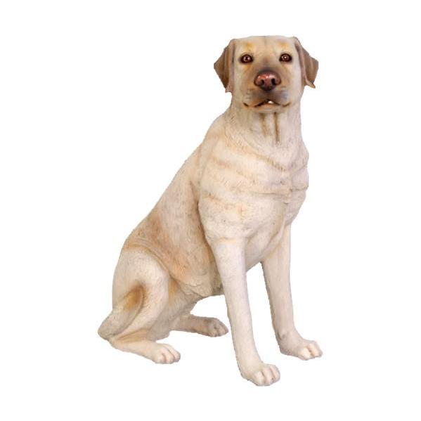 犬 置物 ラブラドール 白 オブジェ オーナメント ガーデニング ディスプレイ 代金引換不可 Frp制 リアル 動物 おすわりをするラブラドール ホワイト Frwh お祭りコム Tシャツ 無地 プリント 通販 Yahoo ショッピング