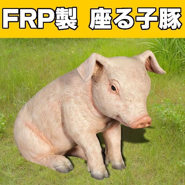 オンライン質屋 豚 置物 ブタ オブジェ ディスプレー 雑貨 オーナメント 代金引換不可 Frp制 ディスプレイ すわる子豚 Sitting Piglet 公園 広場 会場 展示場 牧場 Fr1074 お祭りコム Tシャツ 無地 プリント 通販 Yahoo ショッピング 超特価 通販 送料無料