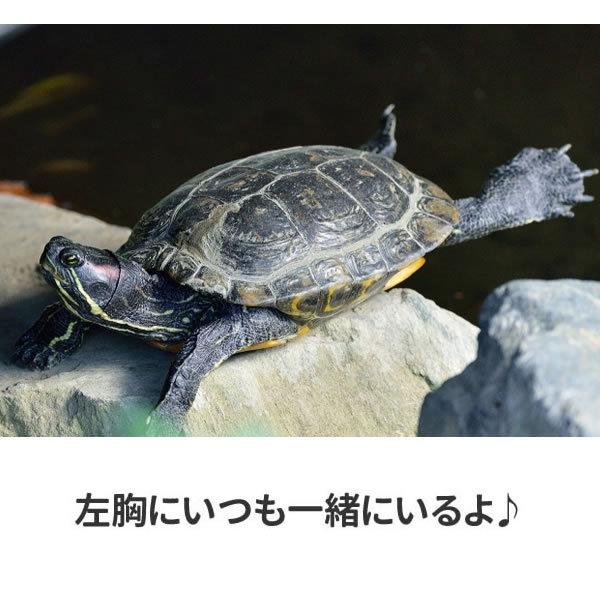 亀 グッズ プレゼント カメ Tシャツ ワンポイント 雑貨 おもしろ オリジナル メンズ レディース プリント かめ 服 可愛い おしゃれ 面白い Kame Wan T お祭りコム Tシャツ 無地 プリント 通販 Yahoo ショッピング