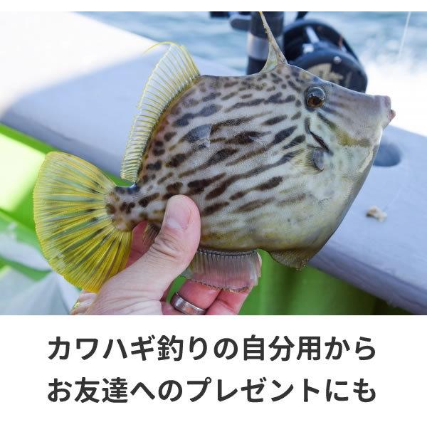 カワハギ Tシャツ 釣り グッズ おもしろ 雑貨 オリジナル メンズ レディース S M L Xl 3l 4l プリント 面白い 可愛い おしゃれ かわいい 魚 プレゼント 海 Kawahagi T お祭りコム Tシャツ 無地 プリント 通販 Yahoo ショッピング