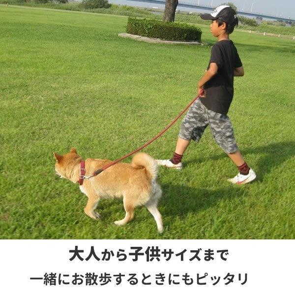 柴犬 Tシャツ ワンポイント 柴犬グッズ おもしろ グッズ 雑貨 犬 オリジナル Shiba印 犬柄 メンズ レディース プリント 服 可愛い おしゃれ 面白い 柴犬柄 Shiba Wan T お祭りコム Tシャツ 無地 プリント 通販 Yahoo ショッピング