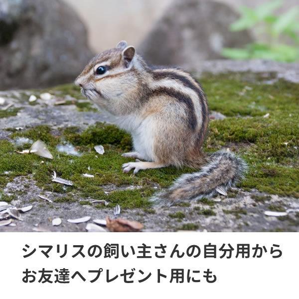 シマリス グッズ リス Tシャツ 服 おもしろ 雑貨 オリジナル メンズ レディース S M L Xl 3l 4l プリント 可愛い おしゃれ かわいい ギフト プレゼント Shimarisu T お祭りコム Tシャツ 無地 プリント 通販 Yahoo ショッピング