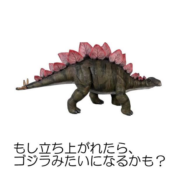 恐竜 Tシャツ ステゴサウルス 横 おもしろ 半袖 雑貨 キッズ グッズ かっこいい プリント 100 110 1 130 140 150 160 男の子 女の子 衣装 かわいい Sutego T お祭りコム Tシャツ 無地 プリント 通販 Yahoo ショッピング