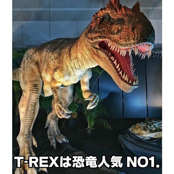 恐竜 Tシャツ 叫ぶ ティラノサウルス T Rex おもしろ Tシャツ 半袖 雑貨 キッズ グッズ かっこいい 100 110 1 130 140 150 160 男の子 女の子 衣装 T Rex T お祭りコム Tシャツ 無地 プリント 通販 Yahoo ショッピング