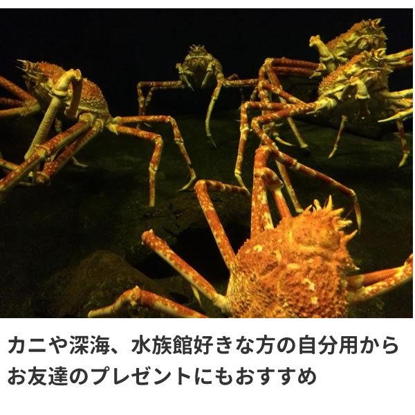 カニ Tシャツ グッズ タカアシガニ おもしろ 雑貨 オリジナル メンズ レディース S M L Xl 3l 4l プリント 面白い 可愛い おしゃれ かわいい 父の日 プレゼント Takaashi T お祭りコム Tシャツ 無地 プリント 通販 Yahoo ショッピング