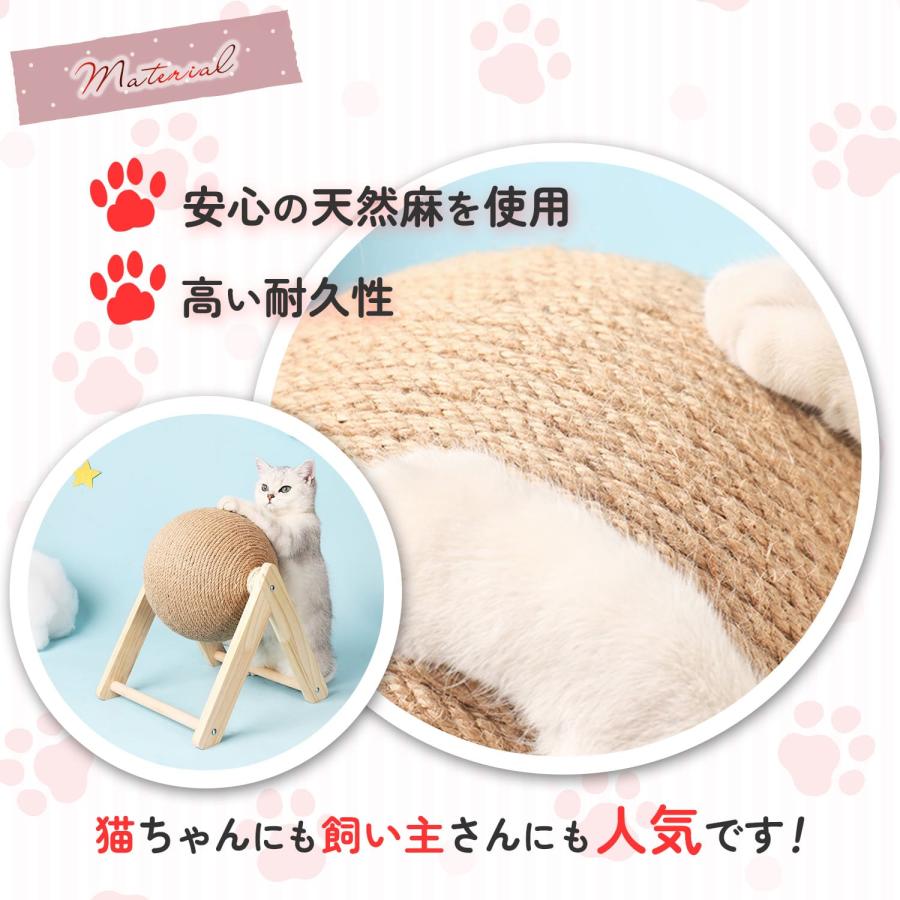 猫 Photo by 五十嵐健太@飛び猫®︎ (@tobineko_0) · October 4, 2025