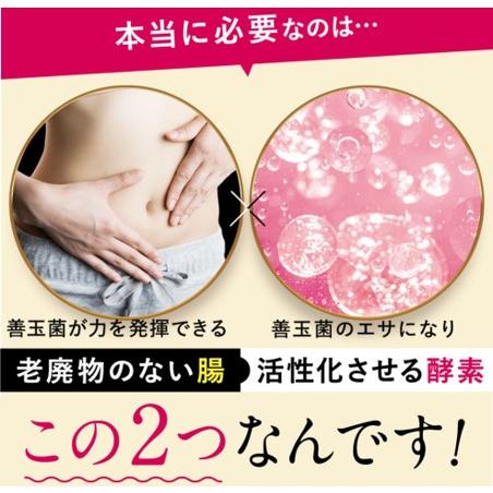 正規品】 酵素づくしのべっぴん 炭クレンズ チャコール クレンズ 正規品】 酵素づくしのべっぴん 炭クレンズ チャコール クレンズ