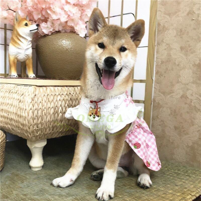 犬服 春 夏 ペットウェア ワンピース ペット用品 柴犬 中型犬 犬服 春 夏 ペットウェア ワンピース ペット用品 柴犬 中型犬