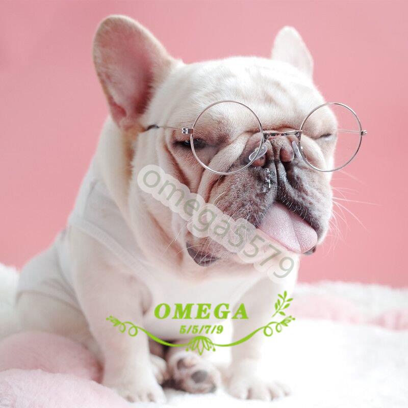 ファッション ペットサングラス犬猫用眼鏡 メガネ丸眼鏡 ペットグッズ 眼の保護に 小型犬用 子犬用 アクセサリー 小物 紫外線対策 おしゃれ 撮影物 Zy0506 03rsk191 Jcbrigeストア 通販 Yahoo ショッピング