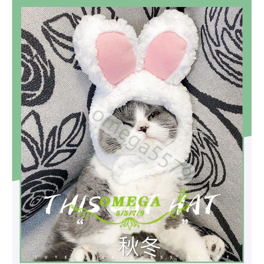 ペット用品 犬 猫 ふわもこコスチューム 被り物 うさぎ ラビット 帽子 小型犬 犬服 可愛い 変身 ハロウィングッズ 暖かい 防寒 犬用品 Zy0506 03rsk6 Jcbrigeストア 通販 Yahoo ショッピング