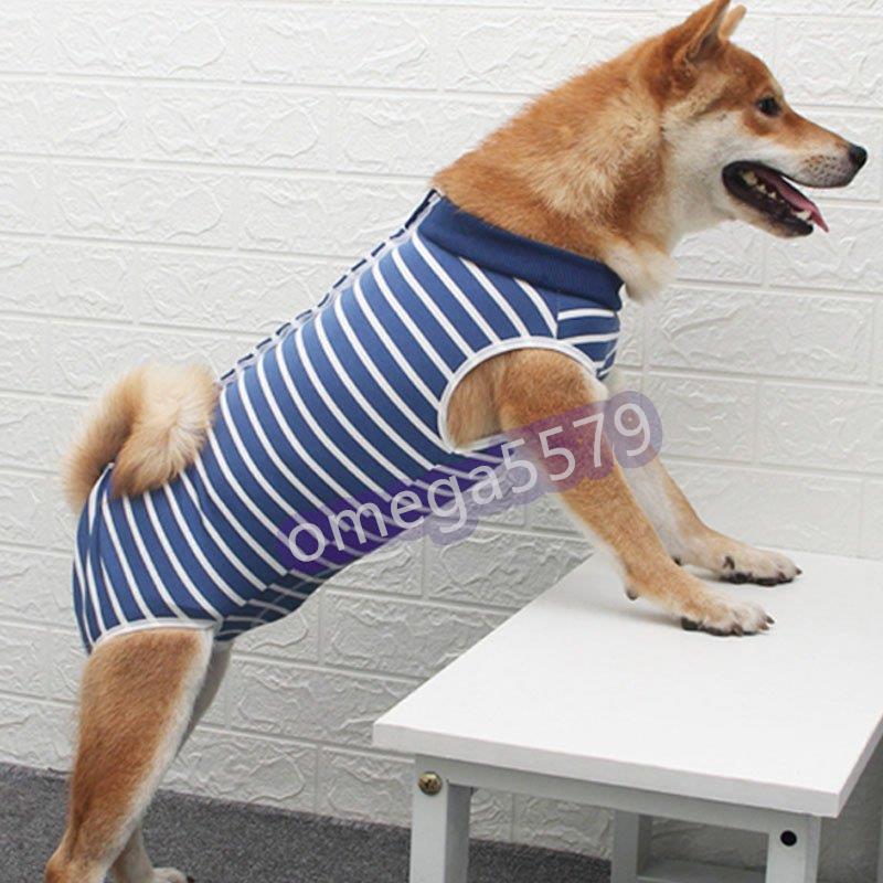 犬 術後服 エリザベスカラー ストライプ柄 去勢後服 犬保護服 犬用 ペット 去勢 避妊 術後服 手術着 傷口保護 おむつ 傷薬 毛づくろい Zy0506 03rsk79 Jcbrigeストア 通販 Yahoo ショッピング