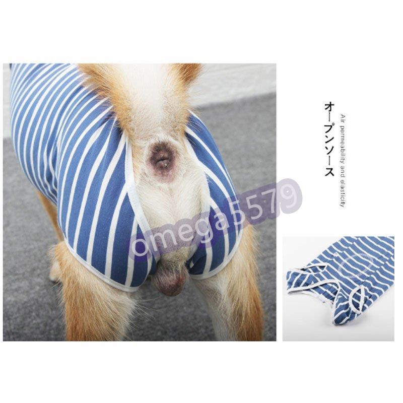 犬 術後服 エリザベスカラー ストライプ柄 去勢後服 犬保護服 犬用 ペット 去勢 避妊 術後服 手術着 傷口保護 おむつ 傷薬 毛づくろい Zy0506 03rsk79 Jcbrigeストア 通販 Yahoo ショッピング