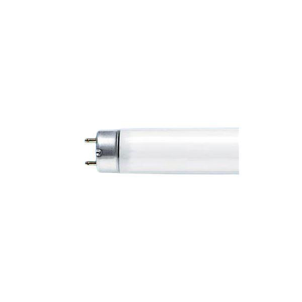 おすすめ Panasonic 蛍光灯40w直管fl40ssenw37ef210k 10本 昼白 電球