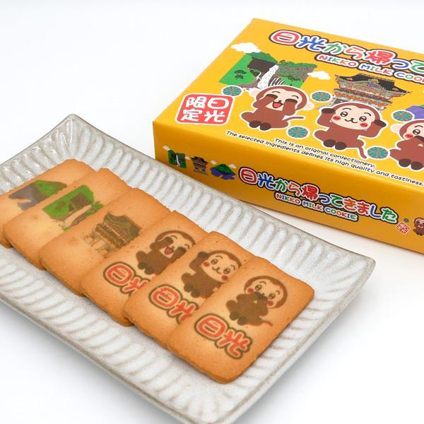 日光から帰ってきました クッキー 15枚入　栃木 日光 ご当地 お土産 おみやげ 修学旅行 観光 洋菓子 お菓子 プリントクッキー 贈答品 手土産 ギフト お取り寄せ | 