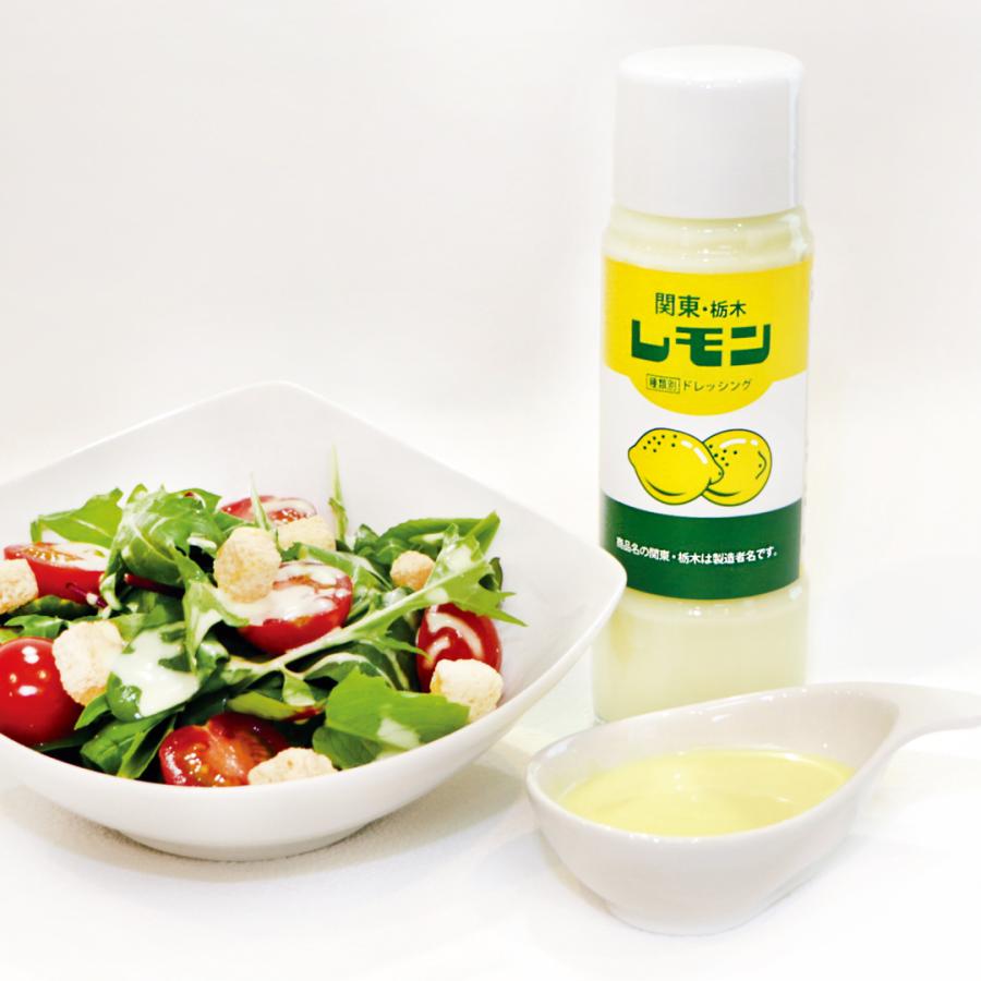 楽天スーパーセール 関東 栃木レモンドレッシング お取り寄せ ギフト 中元 歳暮 訳あり 容器 ボトル 小袋 サラダ 野菜 ステーキ ご当地 グルメ Wantannas Go Id