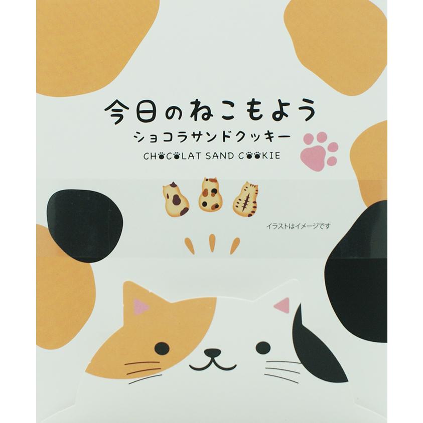 今日のねこもよう箱3種セット（信州長野のお土産 お菓子 洋菓子