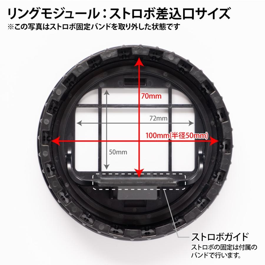 【在庫限りで販売終了】スピードライト用 スピンライト360 Off Camera 2Head Kit w/Bag　撮影機材 