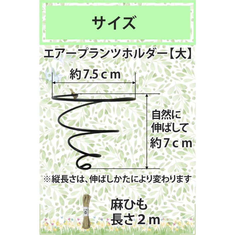 reiri エアープランツホルダー 【大】 6個セット 麻ひも付き エアープランツ用 大サイズ ハンギング プランターハンガー フラワー ...