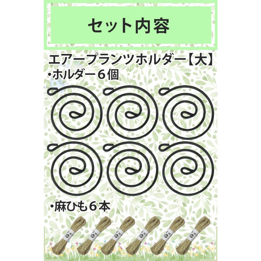 reiri エアープランツホルダー 【大】 6個セット 麻ひも付き エアープランツ用 大サイズ ハンギング プランターハンガー フラワー ...