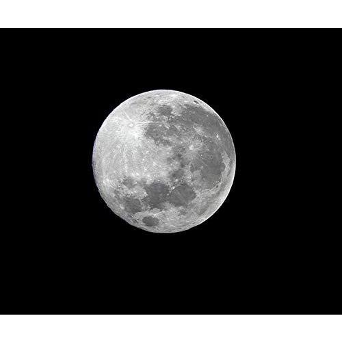 Vixen 天体望遠鏡 スペースアイ600 屈折式 口径50ｍｍ 焦点距離600ｍｍ 経緯台式 32753 