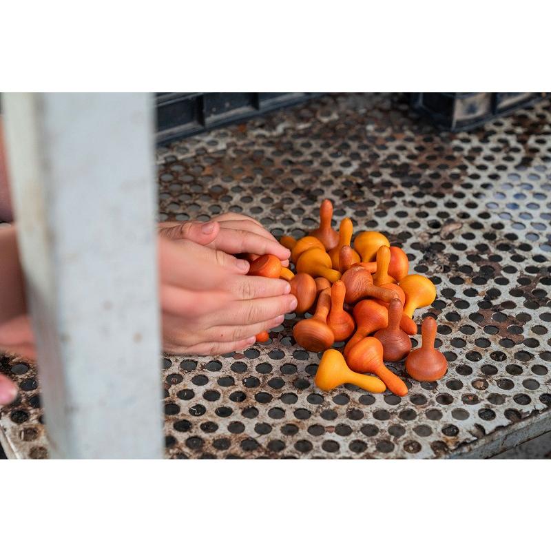 グラパット　まんだら　パンプキン　grapat　Mandala Pampkins　スペイン　グリムス |  | 02