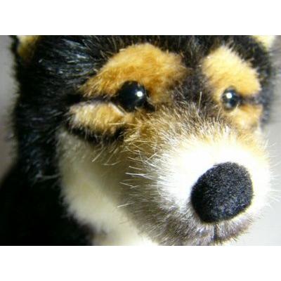 ドイツ ケーセン社ぬいぐるみ 柴犬 黒 知育玩具 ラッピング無料 ぬいぐるみ 送料無料 ケーセン社ぬいぐるみ 柴犬 黒