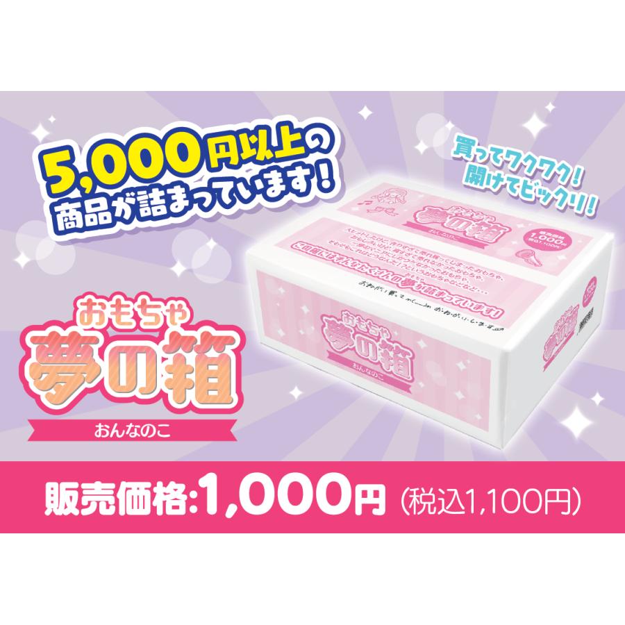 おもちゃ 夢の箱　女の子　（定価￥5,000（税込）以上の商品が詰まっています）6歳 7歳 8歳 小学生  お楽しみボックス  おたのしみ BOX 福袋 福箱｜omochayasannosouko｜03