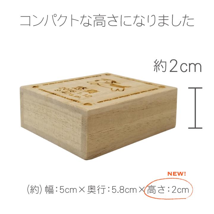 ARASE へその緒ケース 名入れ きょうりゅう へその緒入れ 臍帯箱 桐箱