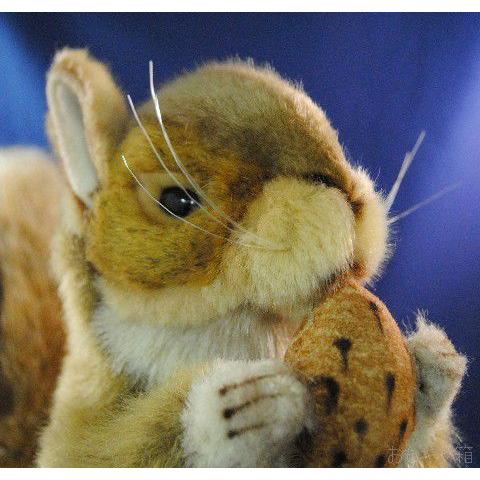 HANSA　Red Squirrel w/ Nut　22cm　キノミツキアカリス　ぬいぐるみ　(3745)｜omokyabako｜03