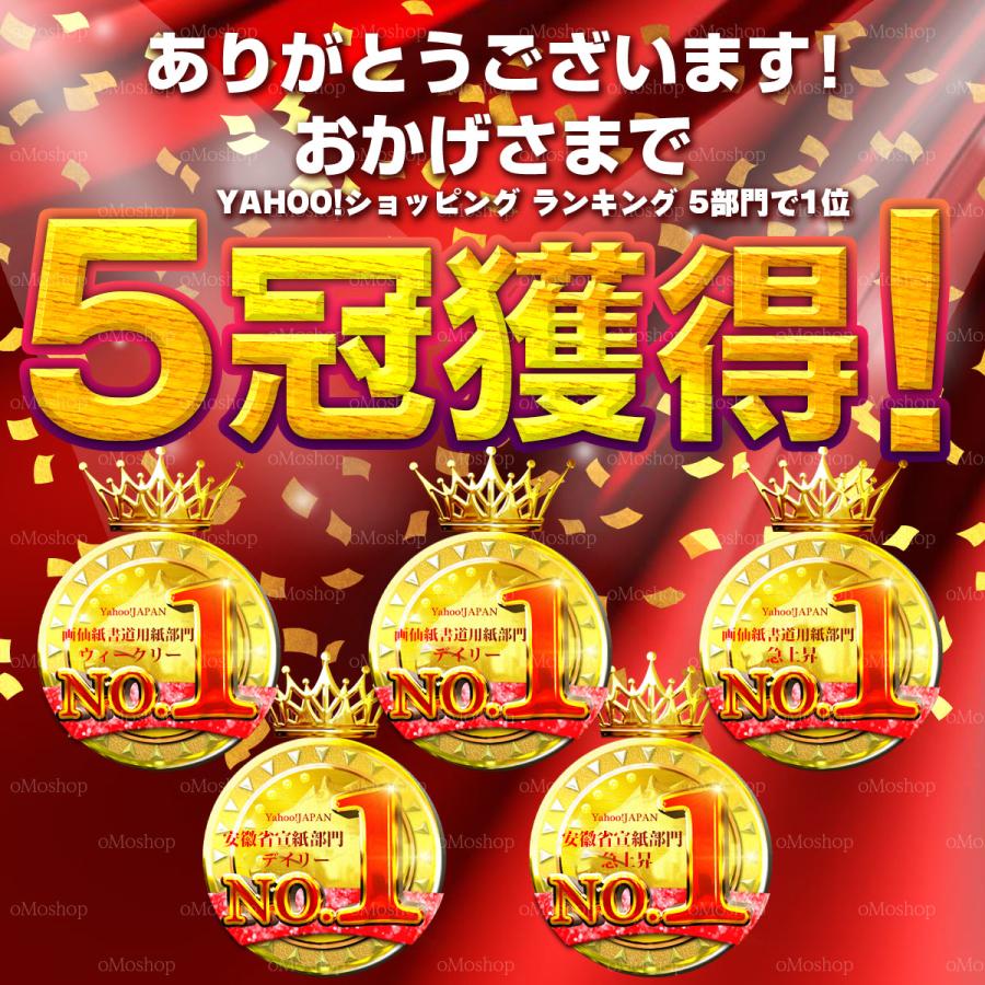 書道 宣紙 玉叶 紅星碑 安徽省 習字 紙 額 飾る 練習用 入れ にじまない 保存 漢字 かな サイズ 真白 書き初め 掛け軸 大量 特厚口 半切 書道紙 高級書 墨画用 |  | 04