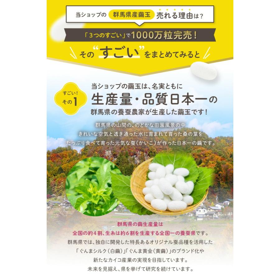 オーガニック クラフト 繭 繭玉（白）20個程度 天然 国産 群馬県