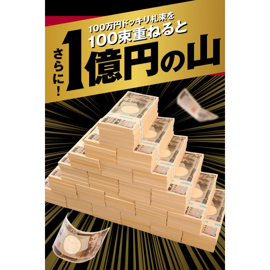 札束 1億円 D 100万円札束 100束セット ダミー 金融機関共通 文字入り