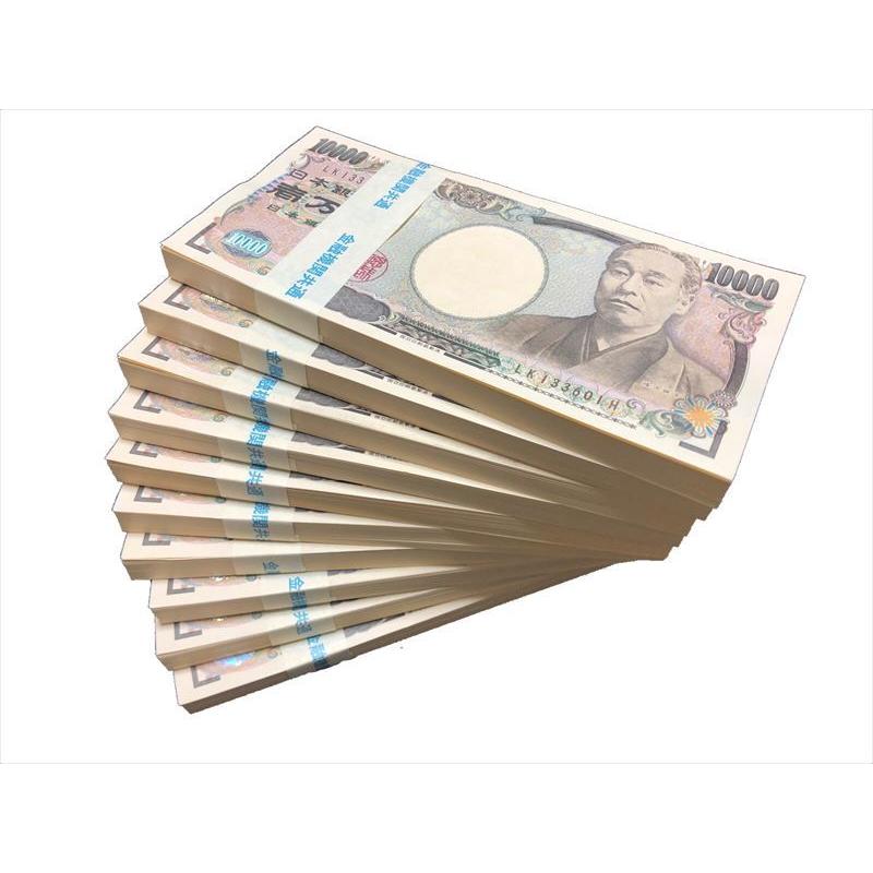札束 5億円 100万円札束 500束セット ダミー 金融機関共通 文字入り