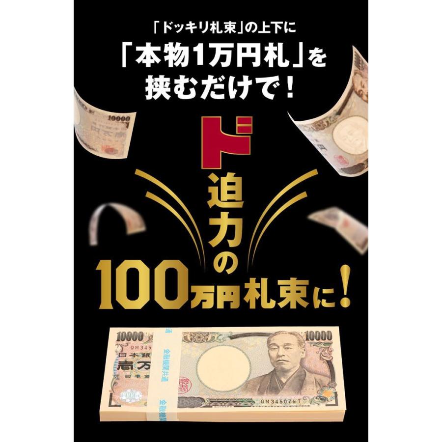 ドッキリ札束 1億円 100万円 10束×10セット 札束 1億円 D 100万円札束 100束セット ダミー 金融機関共通 文字入り