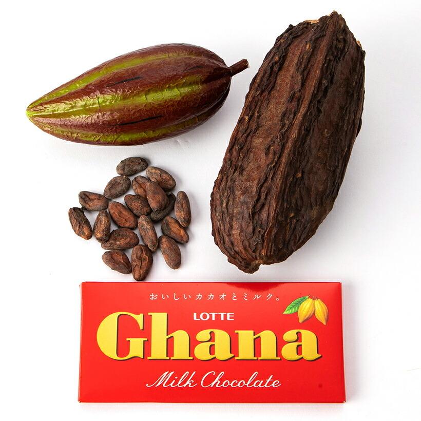 カカオポット 実物 レプリカ カカオ豆 チョコレート ガーナ 児童労働