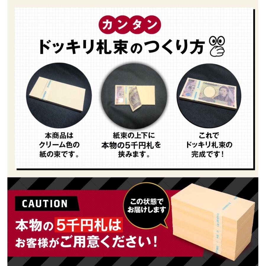 ５千円 札束 H 2束セット 5千円札 5000円 お金 財布 ダミー札束 お年玉袋 ポチ袋 景品 帯 プレゼントご祝儀 誕生日 レプリカ バレンタイン ホワイトデー 0301 おもしろ博物館ショップ 通販 Yahoo ショッピング