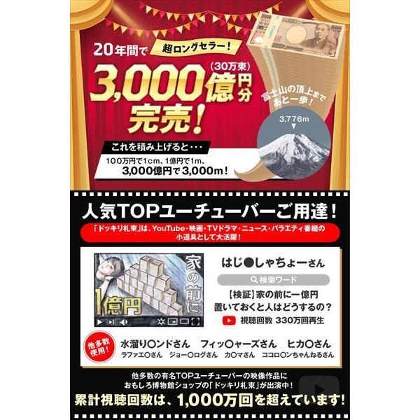 100万円札束 １0束 1000万円分 札束 ダミー 箱付き キラキラ プレゼント用 ギフト お札 お金 金運アップ お守り 風水 お金持ち気分 億万長者 巨万の富 A0140 おもしろ博物館ショップ 通販 Yahoo ショッピング