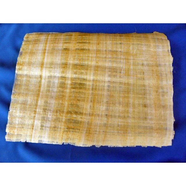 パピルス紙 実物 古代エジプト メソポタミア文明 約ａ３サイズ A0184 おもしろ博物館ショップ 通販 Yahoo ショッピング