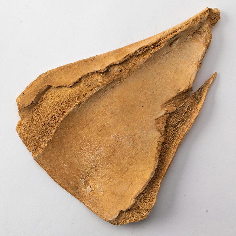 甲骨文字 中国 彫刻 古代文字 資料 時代物 アンティーク 計403g